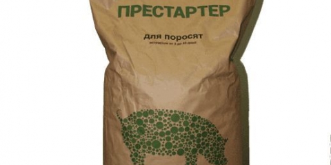 Kako odabrati pravu hranu za prasad